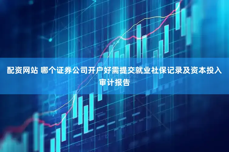 配资网站 哪个证券公司开户好需提交就业社保记录及资本投入审计报告